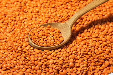 Red lentils in a wooden spoon, raw legumes