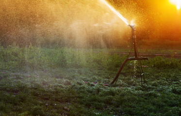Automatic irrigation system for agriculture in the field, during sunset, water spray, shallow depth of field.