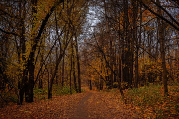 Izmailovo Park in autumn in Moscow, Russia