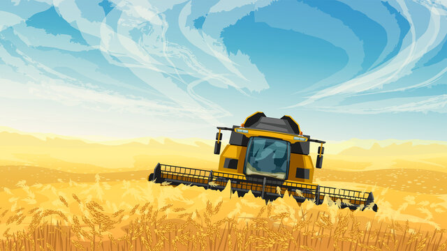 harvester on golden wheat field blue sky