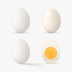 realistic white color egg set on white