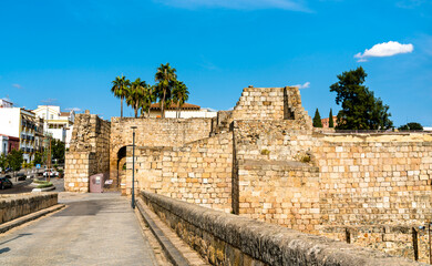 View of the Alcazaba of Merida in Spain