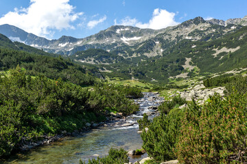 Obraz na płótnie Canvas Landscape of Banderitsa River at Pirin Mountain, Bulgaria