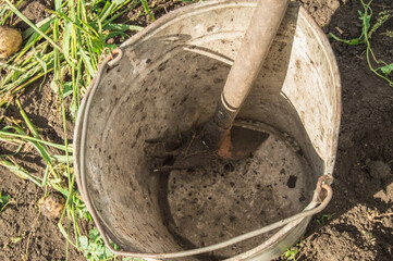 Close-up of an old dirty rusty iron bucket with rake on the background of soil and grass in the...