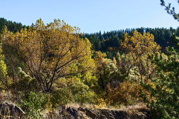 Landscape of Nishava river gorge, Balkan Mountains, Bulgaria