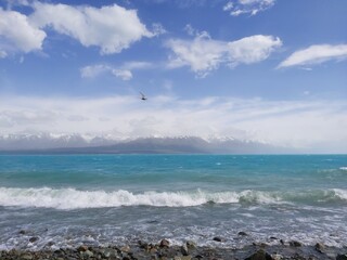 New Zealand