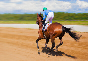 Galloping race horse in racing competition. Jockey on racing horse. Sport. Champion. Hippodrome....