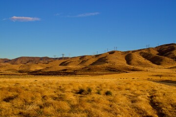 California Desert Landscape With Mountain Background