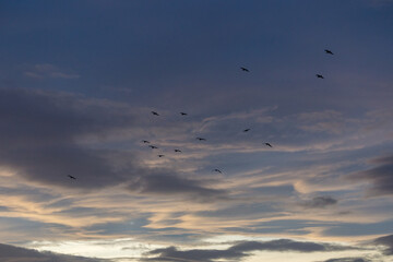 Scottish Daytime Sky