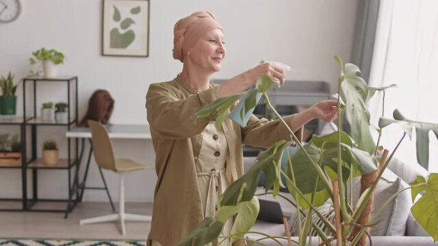 Medium slowmo shot of cheerful mid-adult woman in headscarf rehabilitating from cancer smiling while spraying plants at cozy home