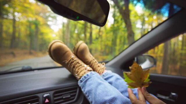Unrecognizable woman in driving car with legs on dashboard wearing jeans and casual demi-season brown boots, hold yellow maple leaves in hands and enjoying travel along road in autumn forest 