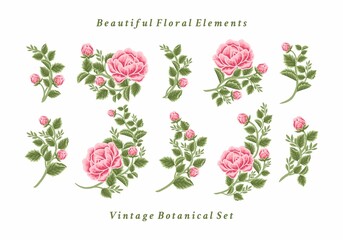 Set of vintage feminine pink rose flower bouquet vector illustration arrangements for logo, beauty products, decoration, wedding invitation, greeting cards, aesthetic elements for various purposes
