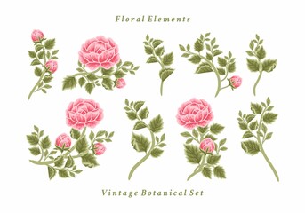 Set of vintage feminine pink rose flower bouquet vector illustration arrangements for logo, beauty products, decoration, wedding invitation, greeting cards, aesthetic elements for various purposes