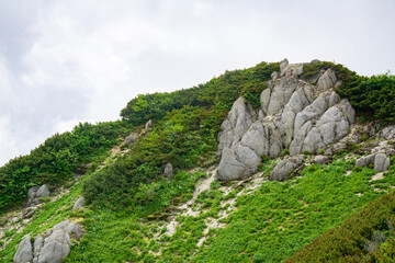霧がかかる高山の風景