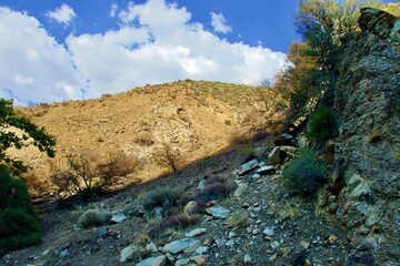California Desert Landscape With Mountain Background