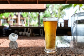 Tall beer glass at the garden bar counter