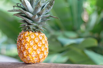 Pineapple on wood background blur green background