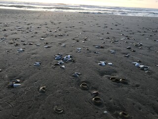beach