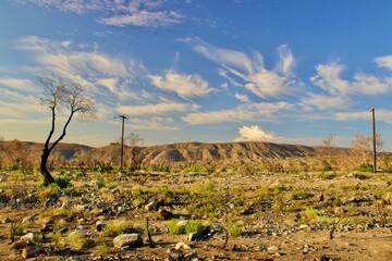 Naklejka na ściany i meble California Desert Landscape With Mountain Background