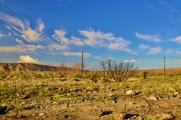 California Desert Landscape With Mountain Background