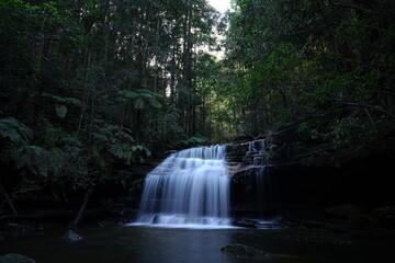 waterfall in the forest