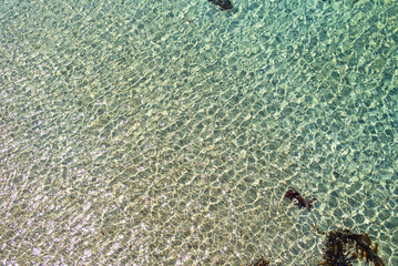 The sparkling, clear surface of the ocean.