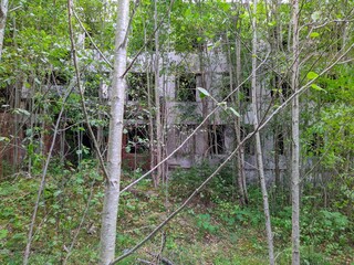 old and destroyed brick building in the forest.
