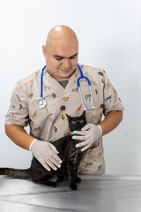 Veterinarian in brown uniform attends to a black cat