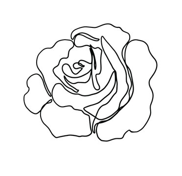 Vector line black illustration graphics flower rose. Rose flower icon. Continuous one line drawing. Vector illustration