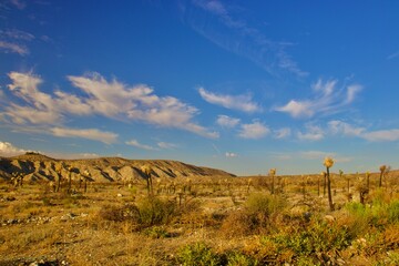 California Desert Landscape With Mountain Background