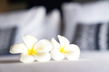 Fototapeta na wymiar Frangipani flower or Lan Thom in Thailand name, is on the white king bedroom at hotel with morning light from outside room.