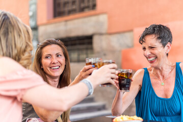 Adult woman with short hair in a cafe toasting with drinks with her friends