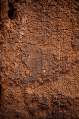Old wooden brown background.