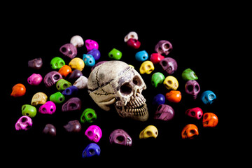 Model of human skull on black background.