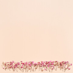 Small pink flowes on beige colored paper. Floral background. Minimal style aesthetic image