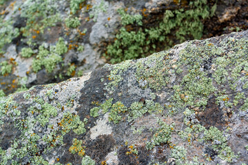 Edge of rock is covered with old lichen and moss. Selective focus on edge of stone. Horizontal image.