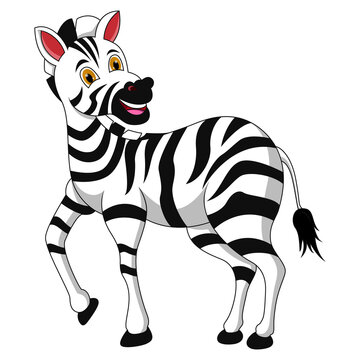 Cute zebra cartoon on white background