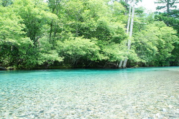上高地　梓川　長野　松本