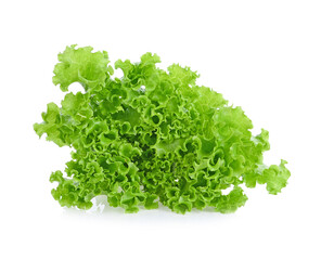 Fototapeta premium lettuce isolated on white background.