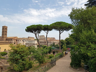 Włochy - Forum Romanum - obrazy, fototapety, plakaty