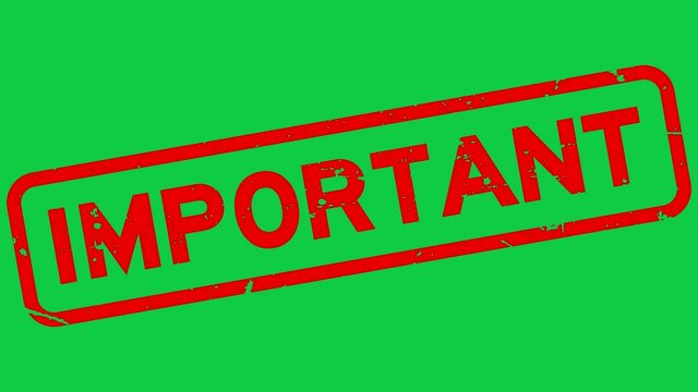 Grunge red important word square rubber seal stamp zoom on green background