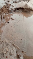 waves on the beach