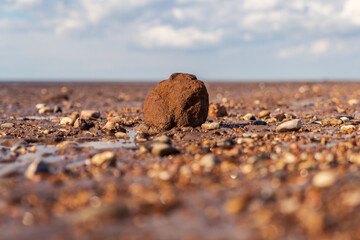 A large stone surrounded by smaller stones in Snettisham Beach, Norfolk, England, UK