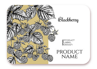 Blackberry. Ripe berries on branch. Template for product label, cosmetic packaging. Easy to edit. Graphic drawing, engraving style. Vector illustration..