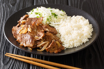 Japanese Ginger Pork Shogayaki with rice garnish and cabbage closeup in the plate on the table. horizontal