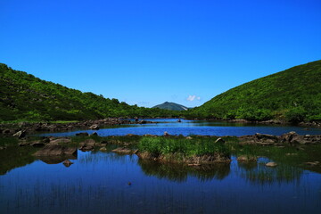 ニセコ連山、シャクナゲ沼