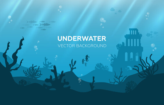 Underwater background with various sea views. Underwater scene. Cute sea fishes ocean underwater animals. Undersea bottom with corals seaweeds 