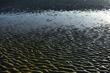 Texture on the seaside