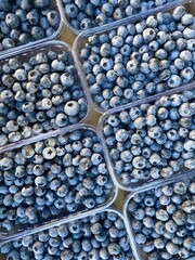Blueberries background. Ripe blue berries in plastic containers flat lay top view