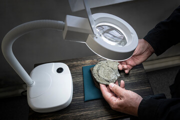 An archaeological find. Ancient prehistoric fossils.a scientist archaeologist examines fossils,...